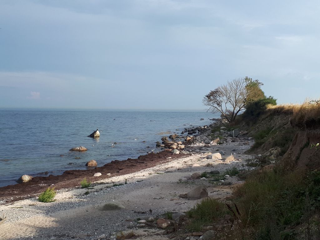 Campingidylle zwischen Nord-Ostsee-Kanal und Meer