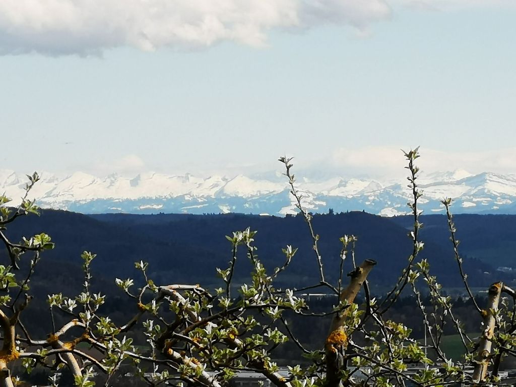 Emplacement unique dans une ferme bio avec vue sur les Alpes