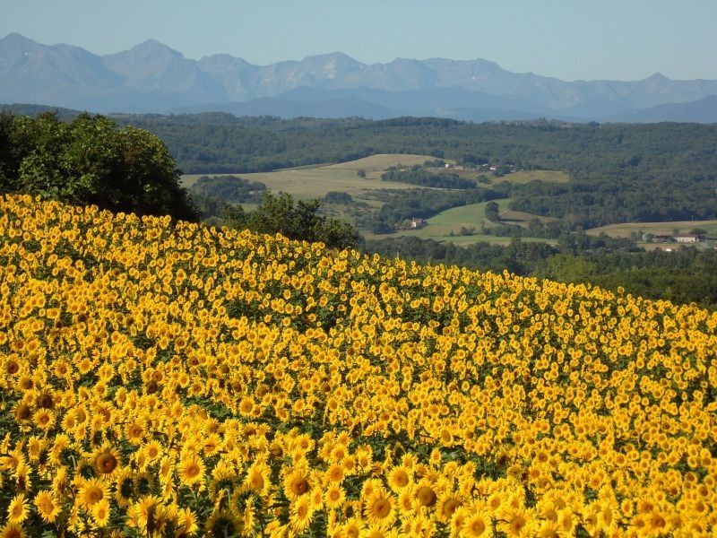 Magnifique vue sur les Pyrénées