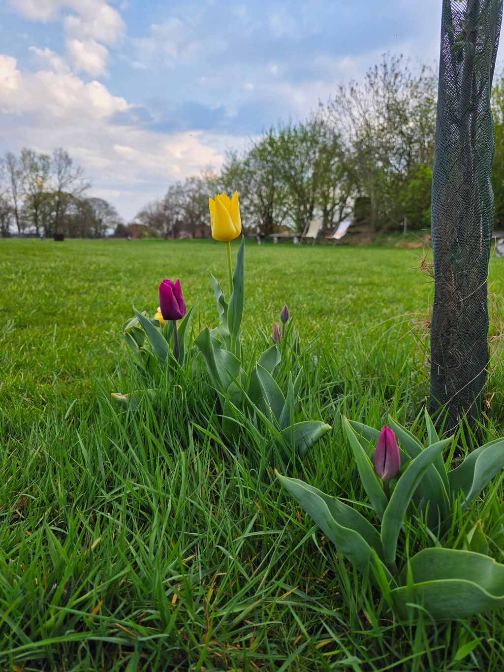 Rustikales Wiesencamping mit grüner Aussicht 