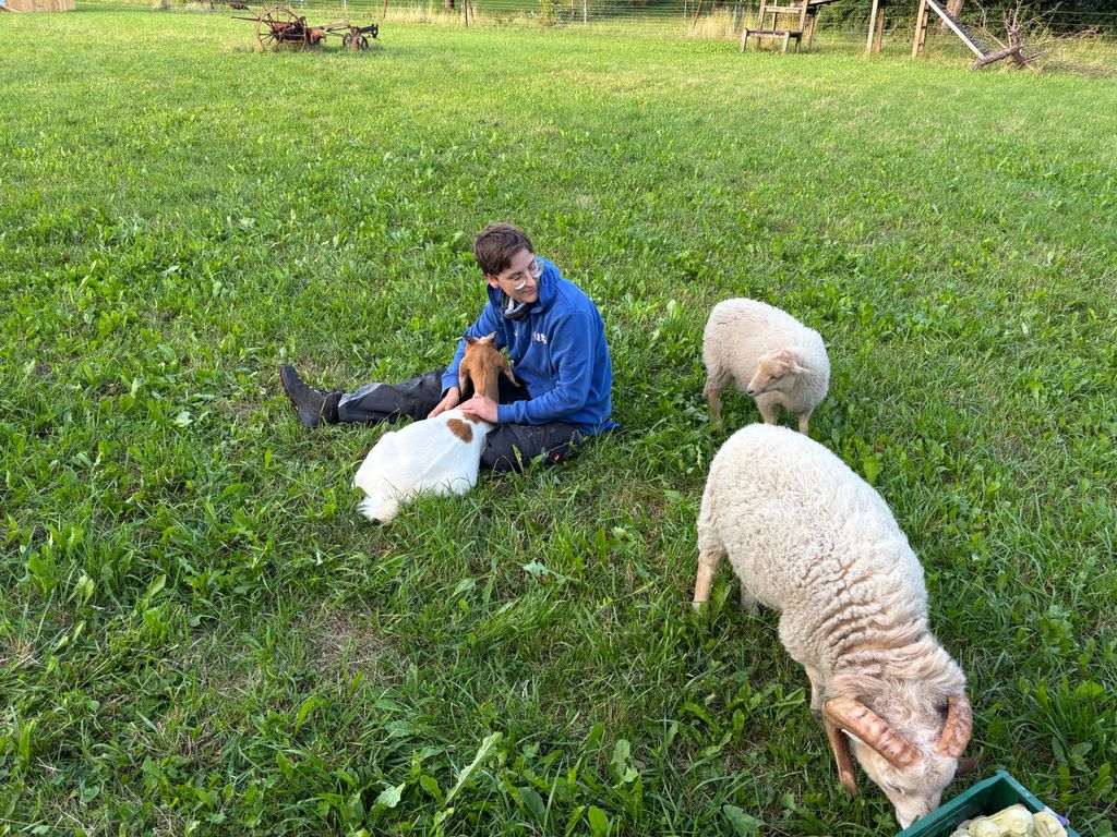 Rural idyll far away from the hustle and bustle
