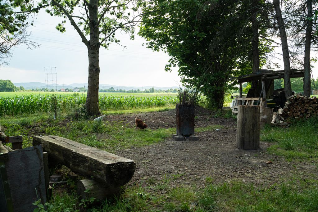 Naturaleza en estado puro - campo tranquilo para días de relax