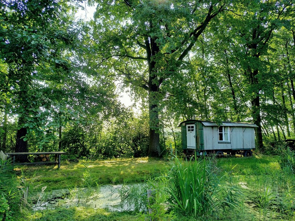 Teich am Fuß der Köhnigshainer Berge