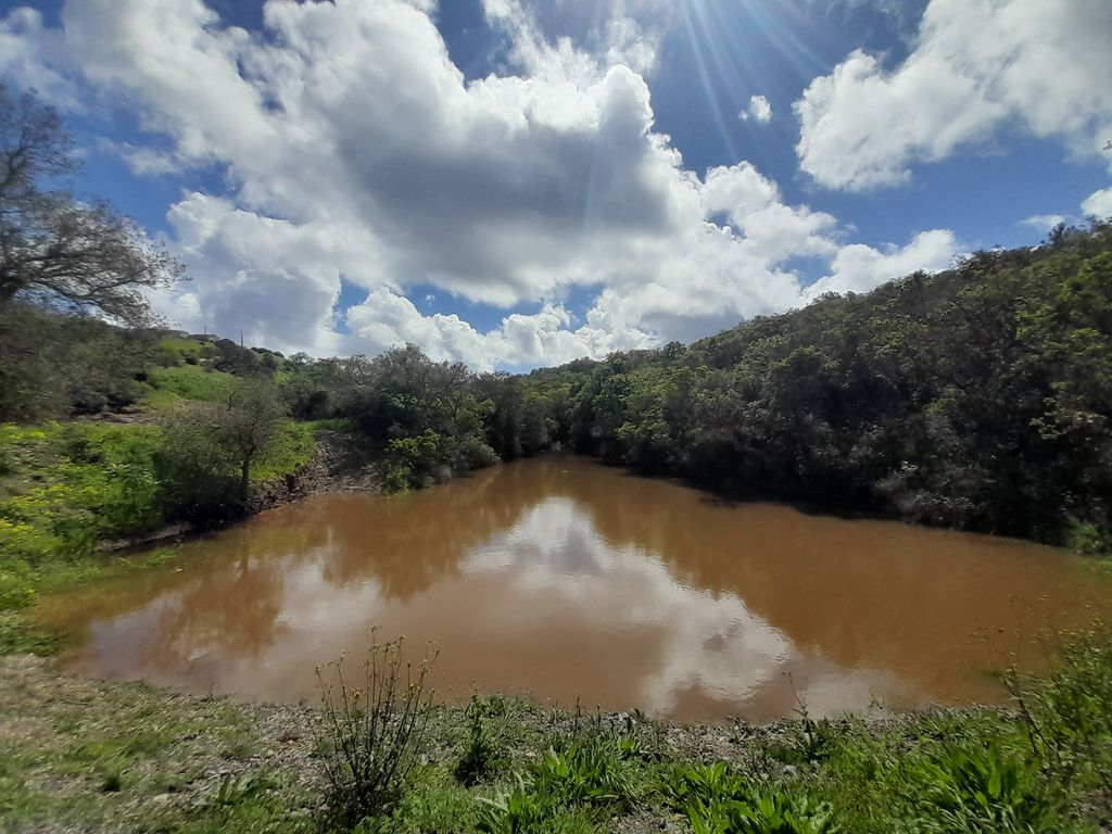 Piazzola al lago delle tartarughe in Portogallo