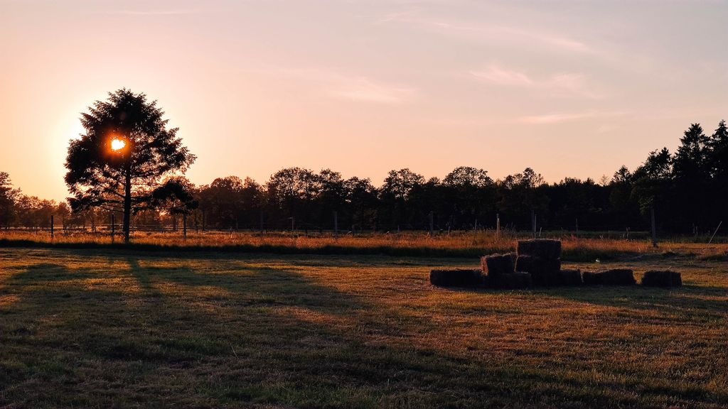 Stellplatz #1 am Haus Fehnwald für Camper und mehr