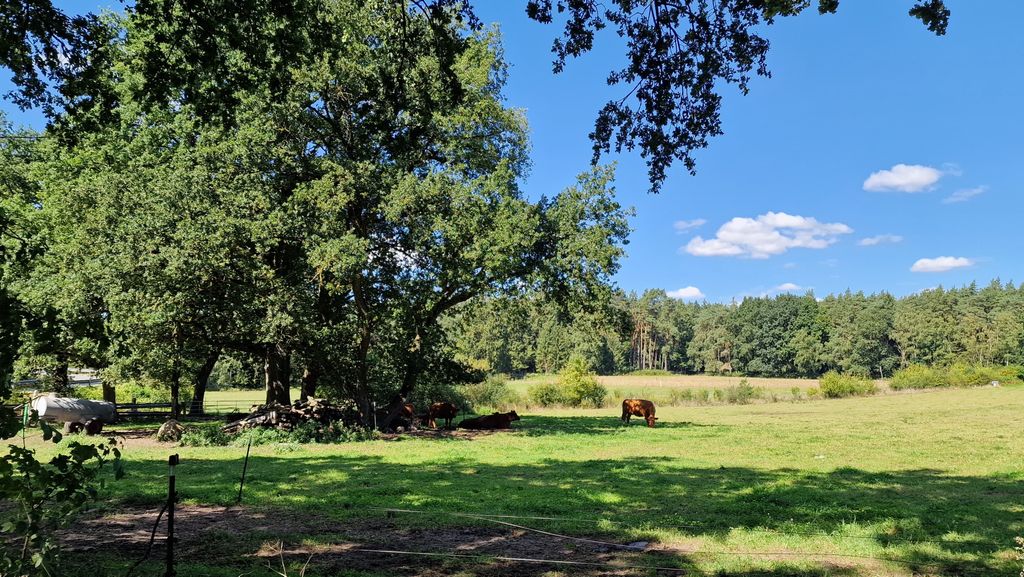Campeggio vicino al laghetto di una cava verde in mezzo alla natura