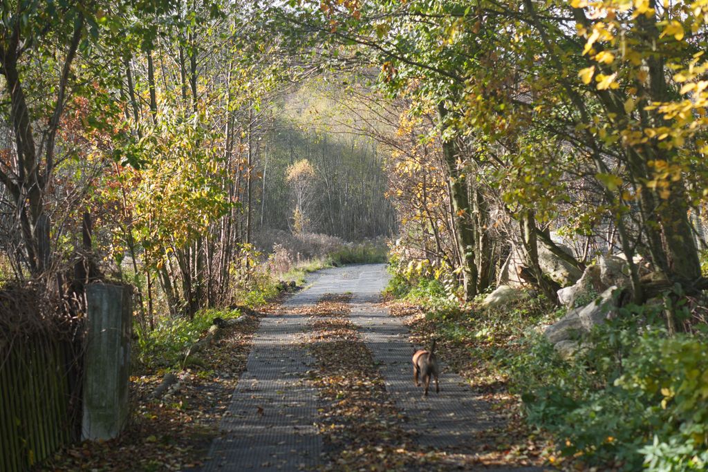 Campeggio Sosnówka (Seidorf) in Monti Giganti