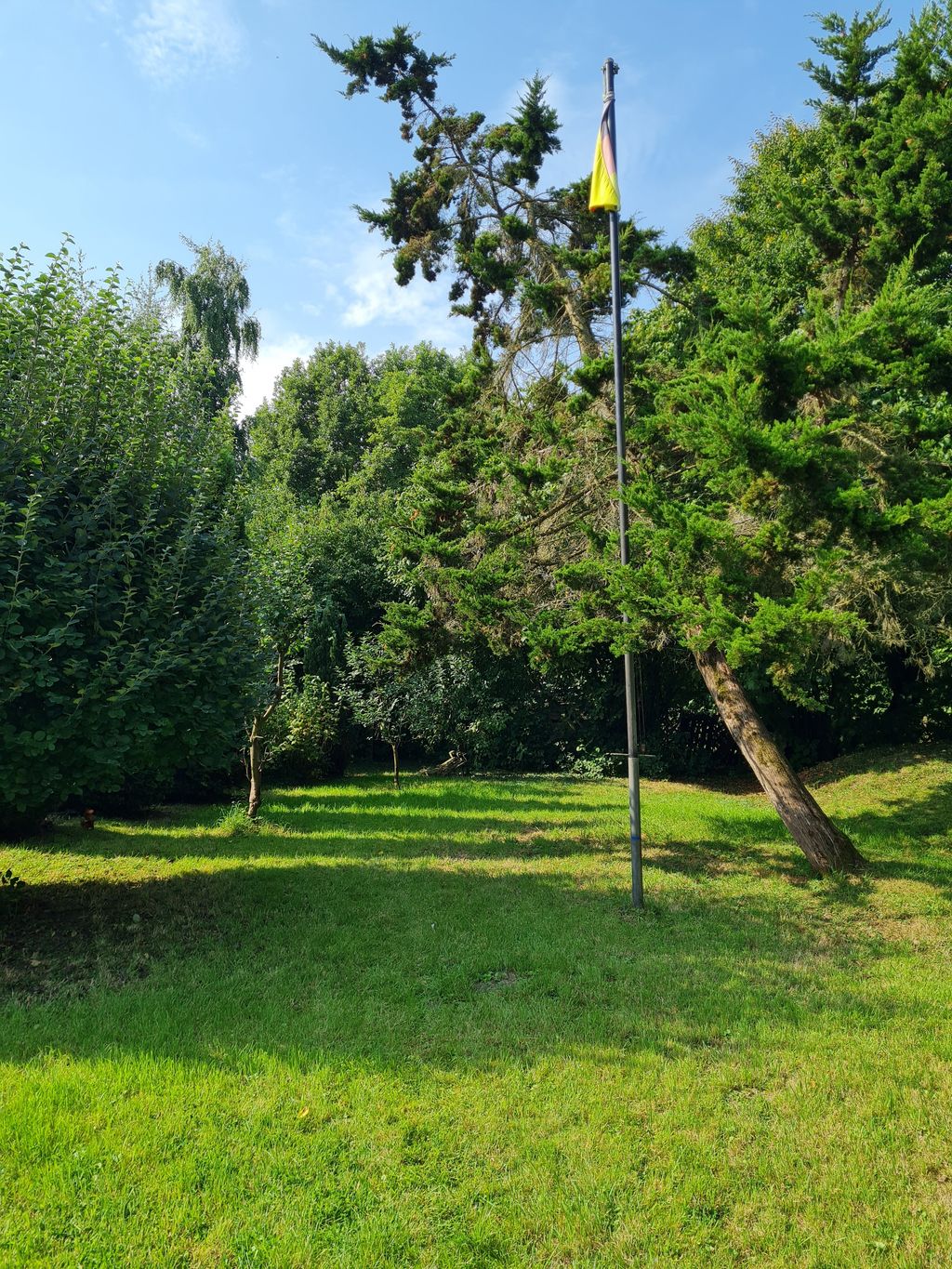 Accamparsi tra gli alberi da frutto o nel cortile