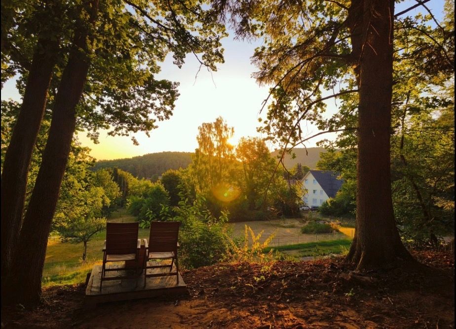 Camper au plus près de la nature dans la forêt du Palatinat