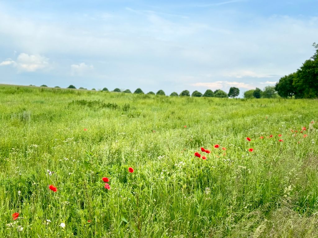 Camping auf dem Bauernhof in Stahlbrode