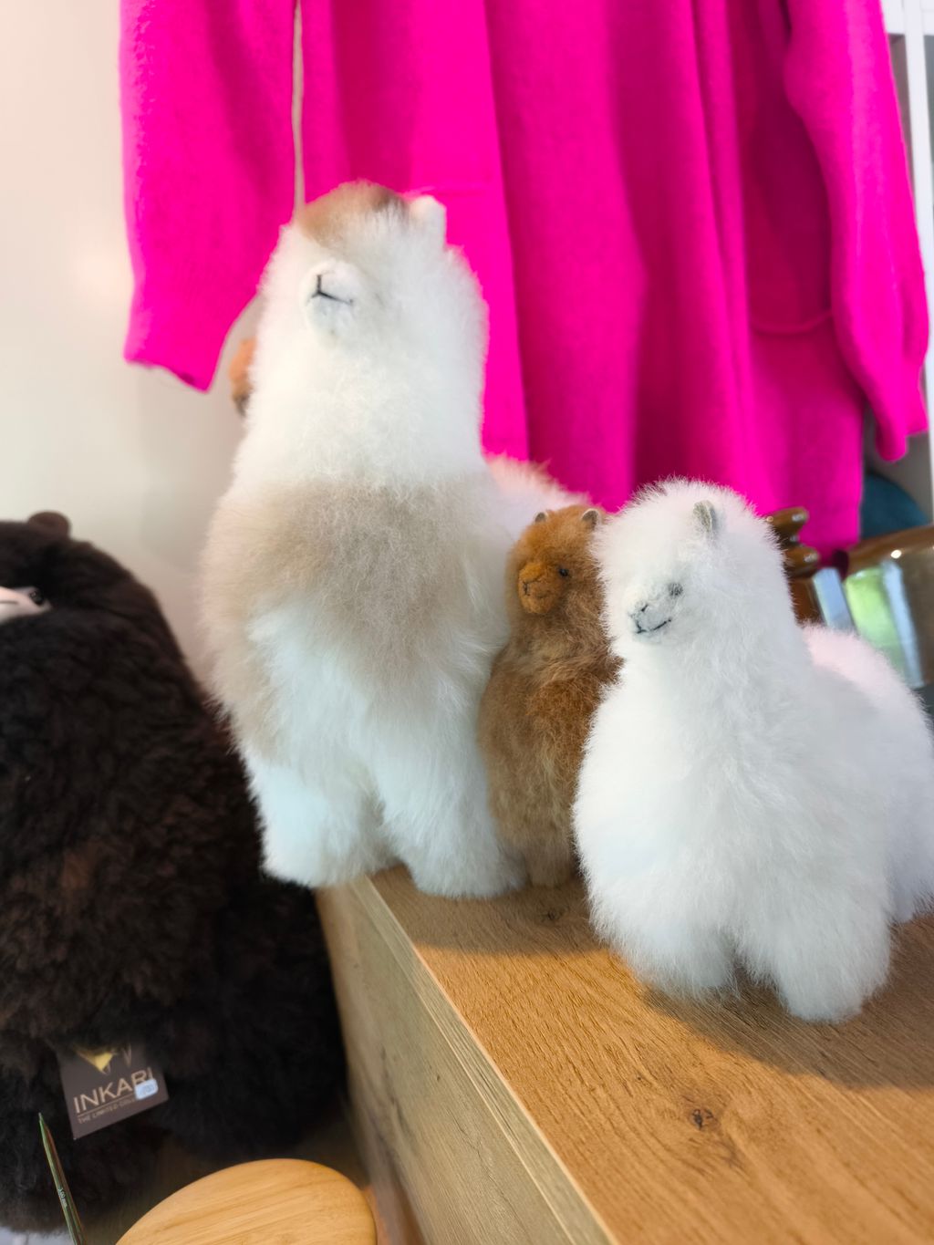  Disfrute y relájese en la granja de alpacas