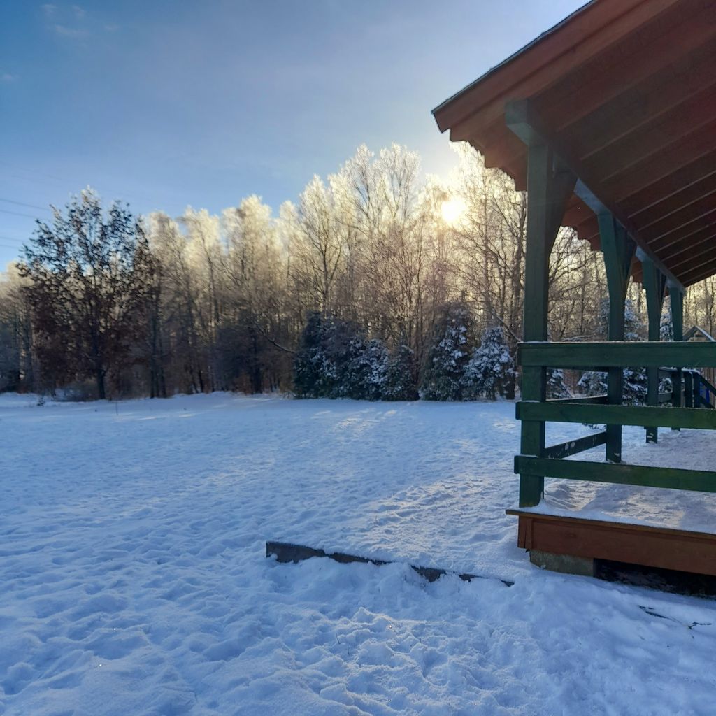 Cabaña de madera al borde del bosque cerca de la costa del mar Báltico