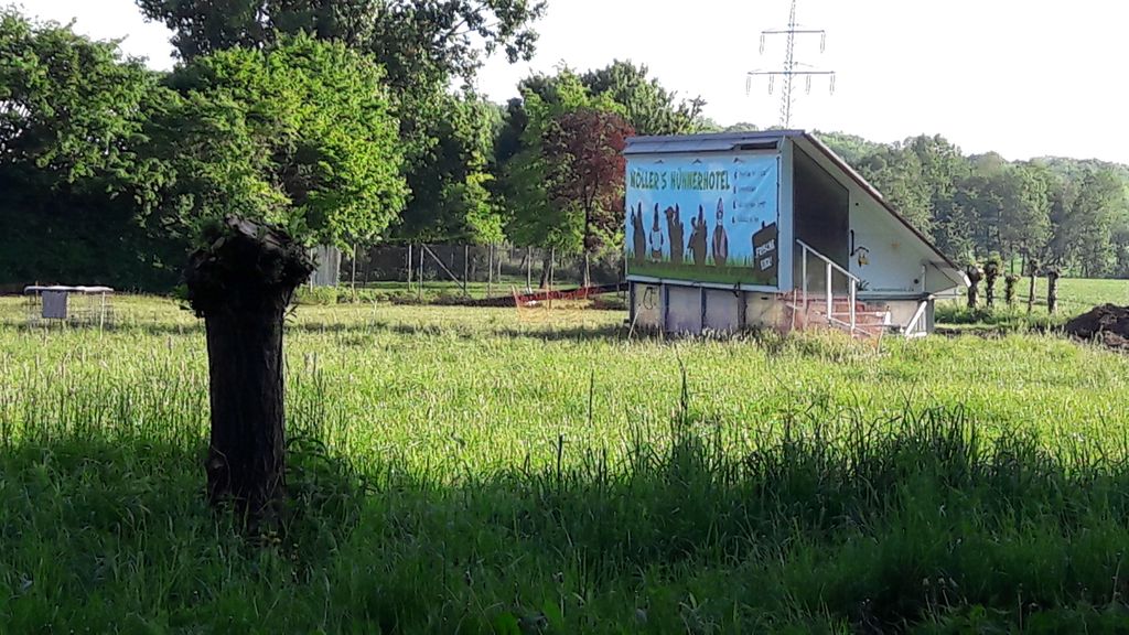 Campamento con tienda en la granja: Relajarse en plena naturaleza