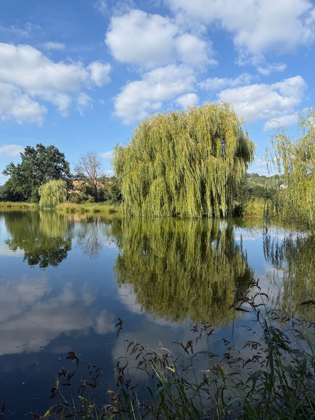 Lago naturale dove fare il bagno, andare in canoa e pescare