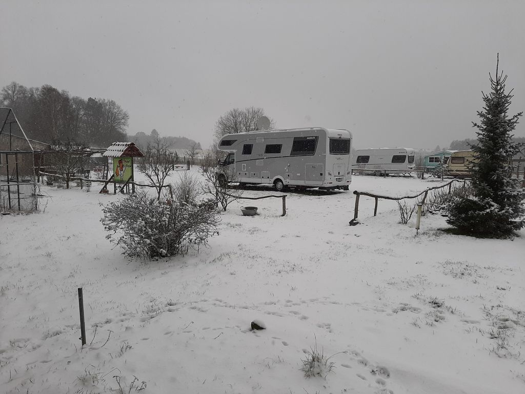 Vacations on the eco farm