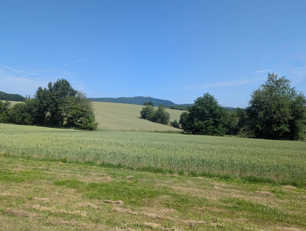 Pradera cerca del aeródromo de planeadores