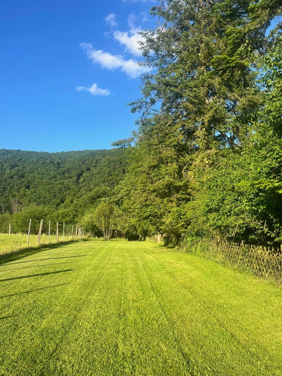 Comfortable private pitch for 2 - a dream on the edge of the Westerwald