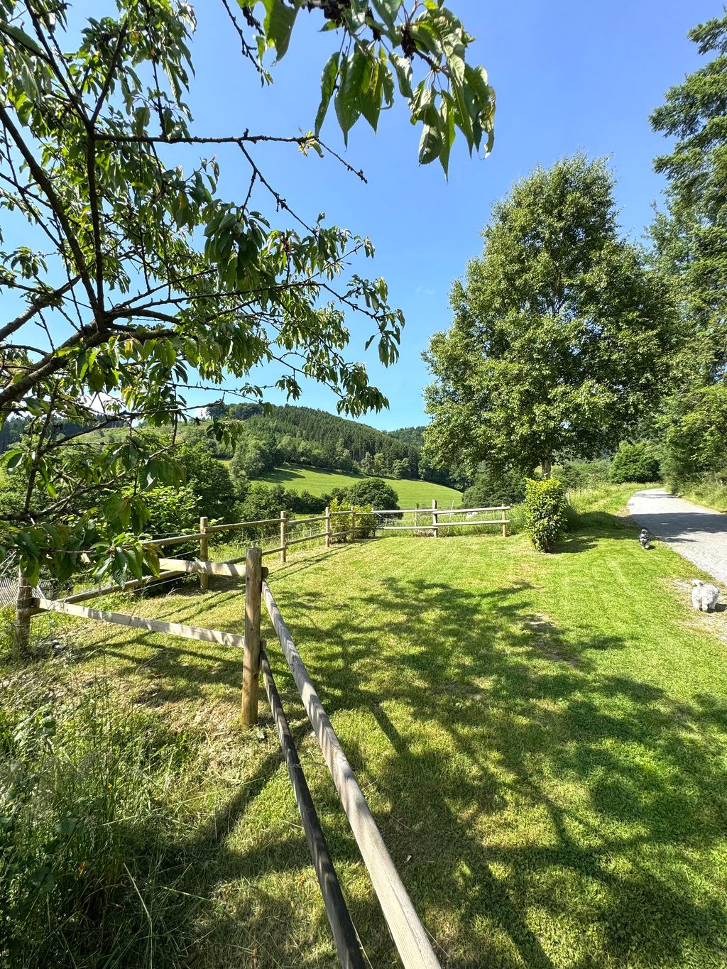 Aparcamiento natural Zur Lamaweide Hochsauerland