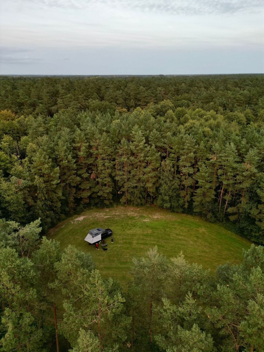 Green meadow in the forest or idyllic yard parking lot
