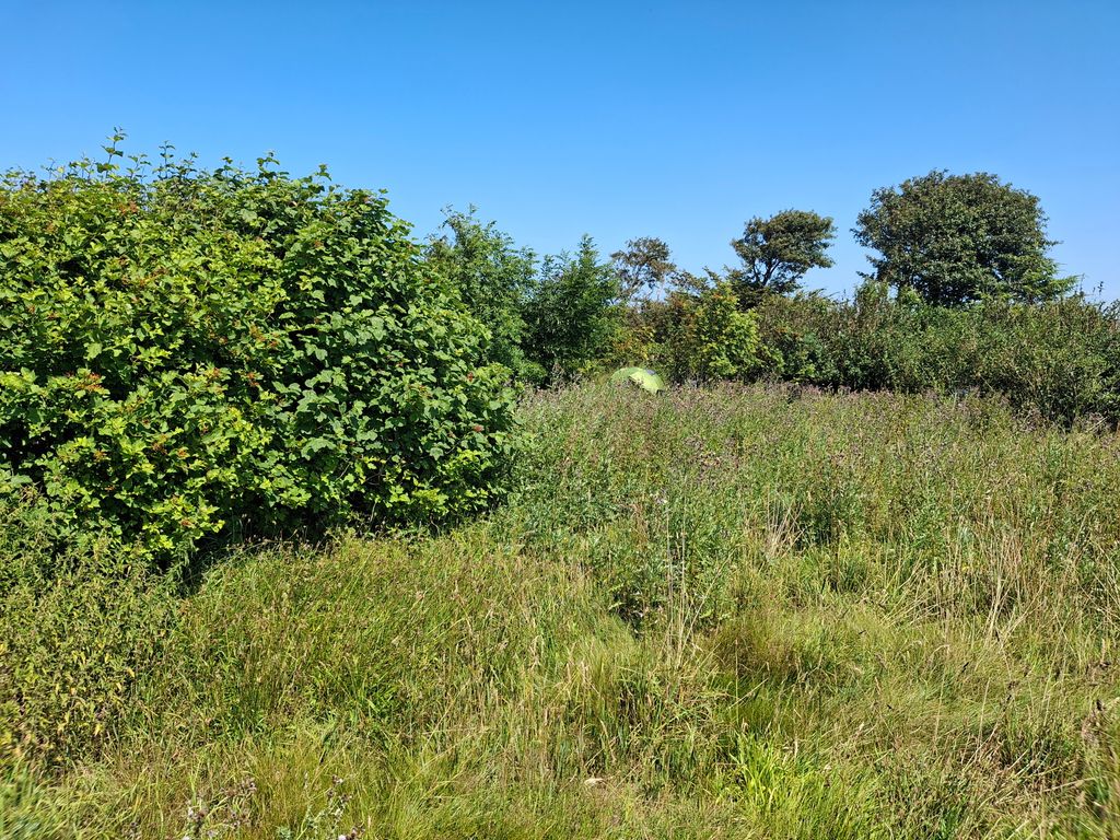 190 m Fußweg zum lauschigen Zeltplatz im Unterholz