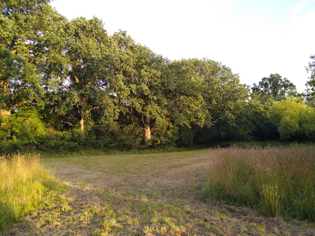 Naturplatz bei Kappeln