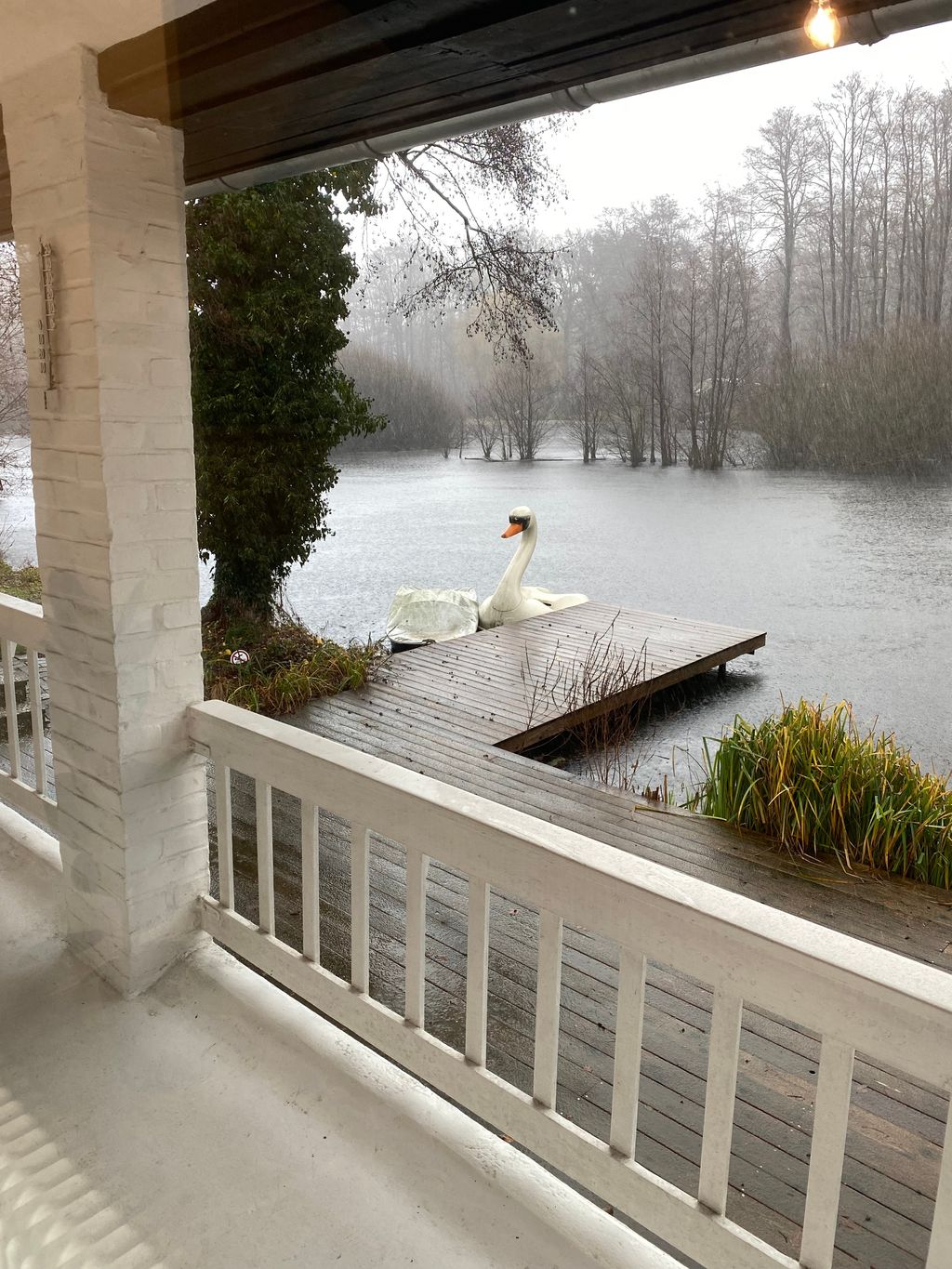 Unique bungalow right on the lake with hot tub