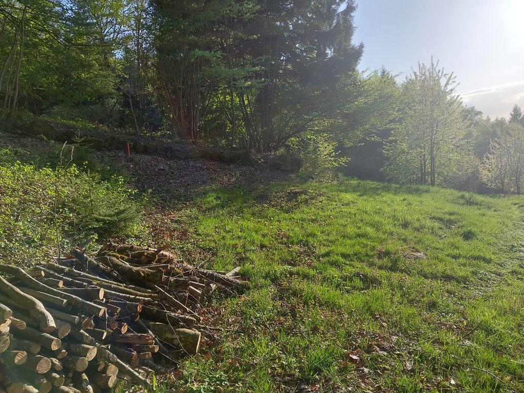 4x4 fuoristrada / campeggio libero in autonomia