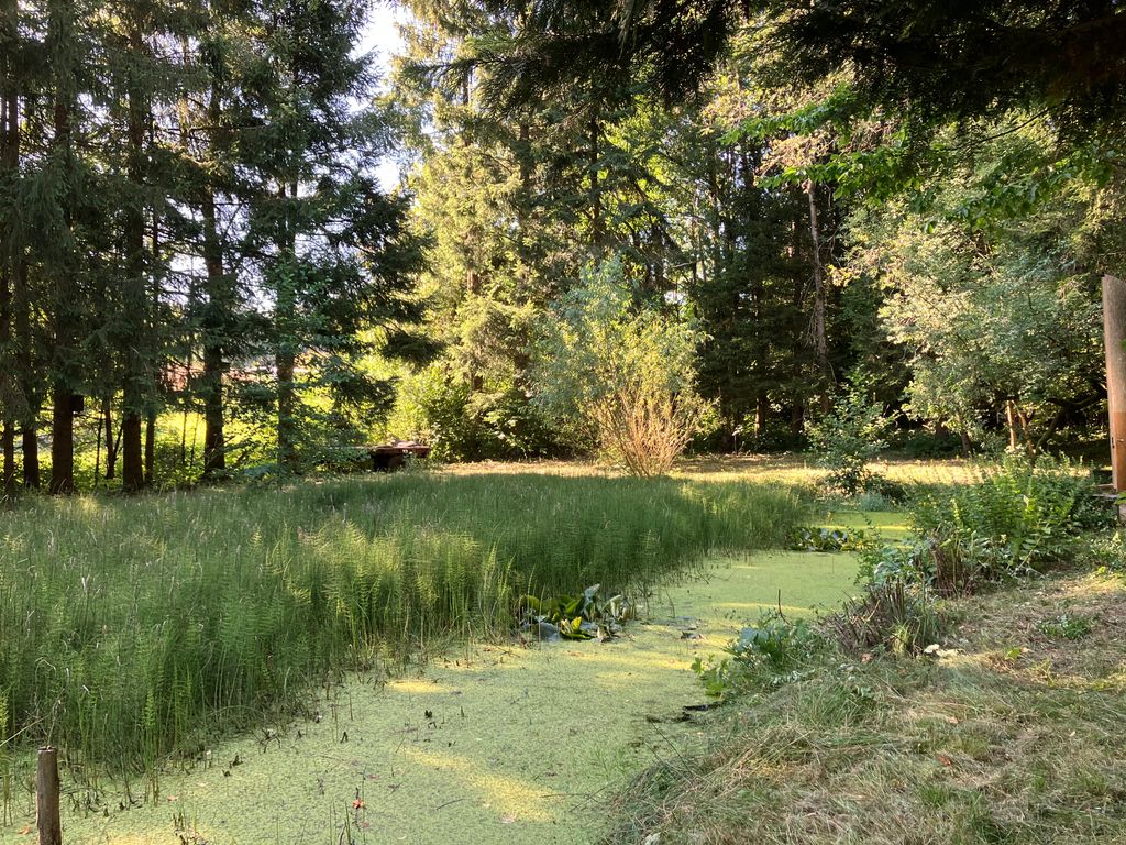 Zeltplatz am Teich mit Feuerstelle – ganz privat
