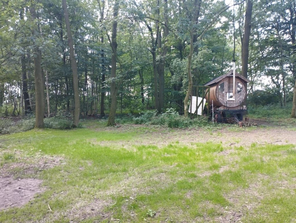 Sauna entre el bosque y la pradera