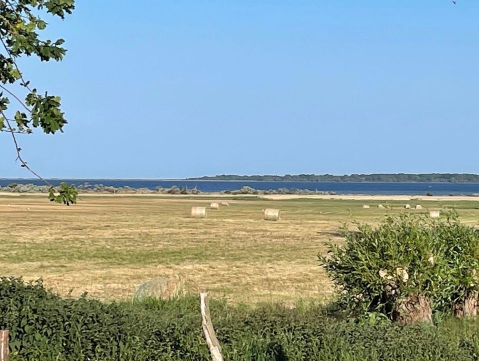 Haffblick: natura allo stato puro sul Salzhaff