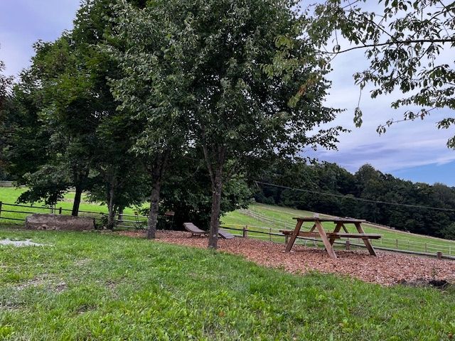 Nature camping among horses