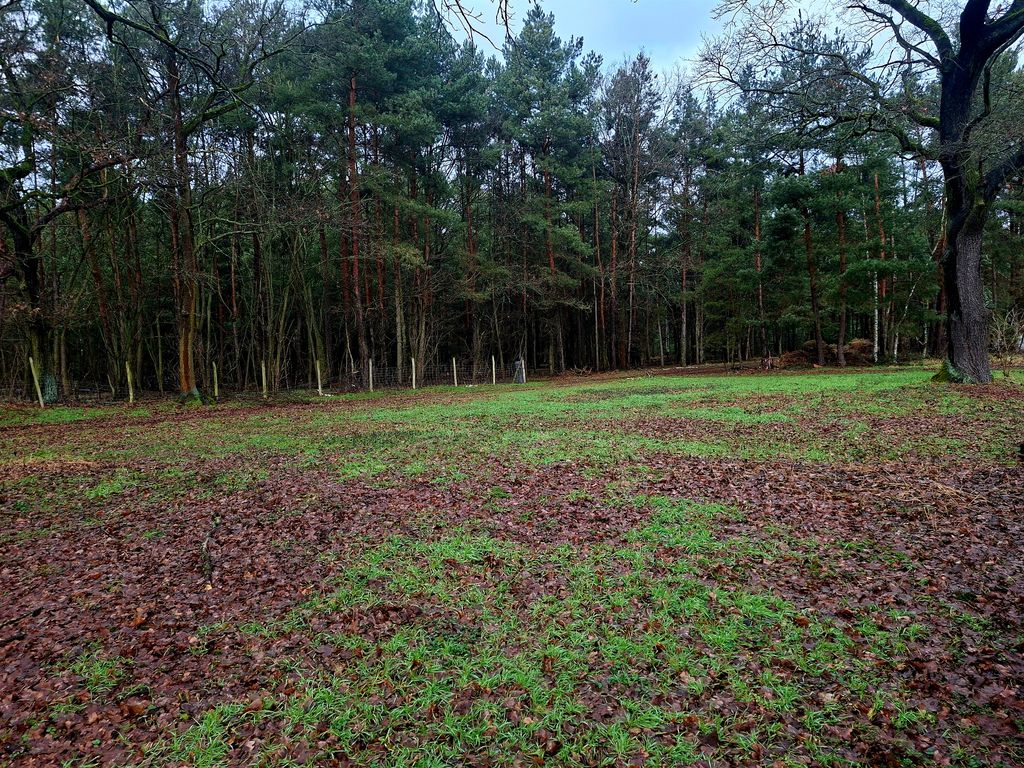 Acampar cerca del bosque del Spree