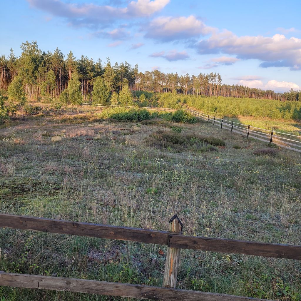 Die Natur in Polen (Pommern) genießen 