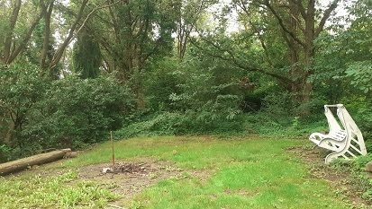 Campspace in wildlife garden