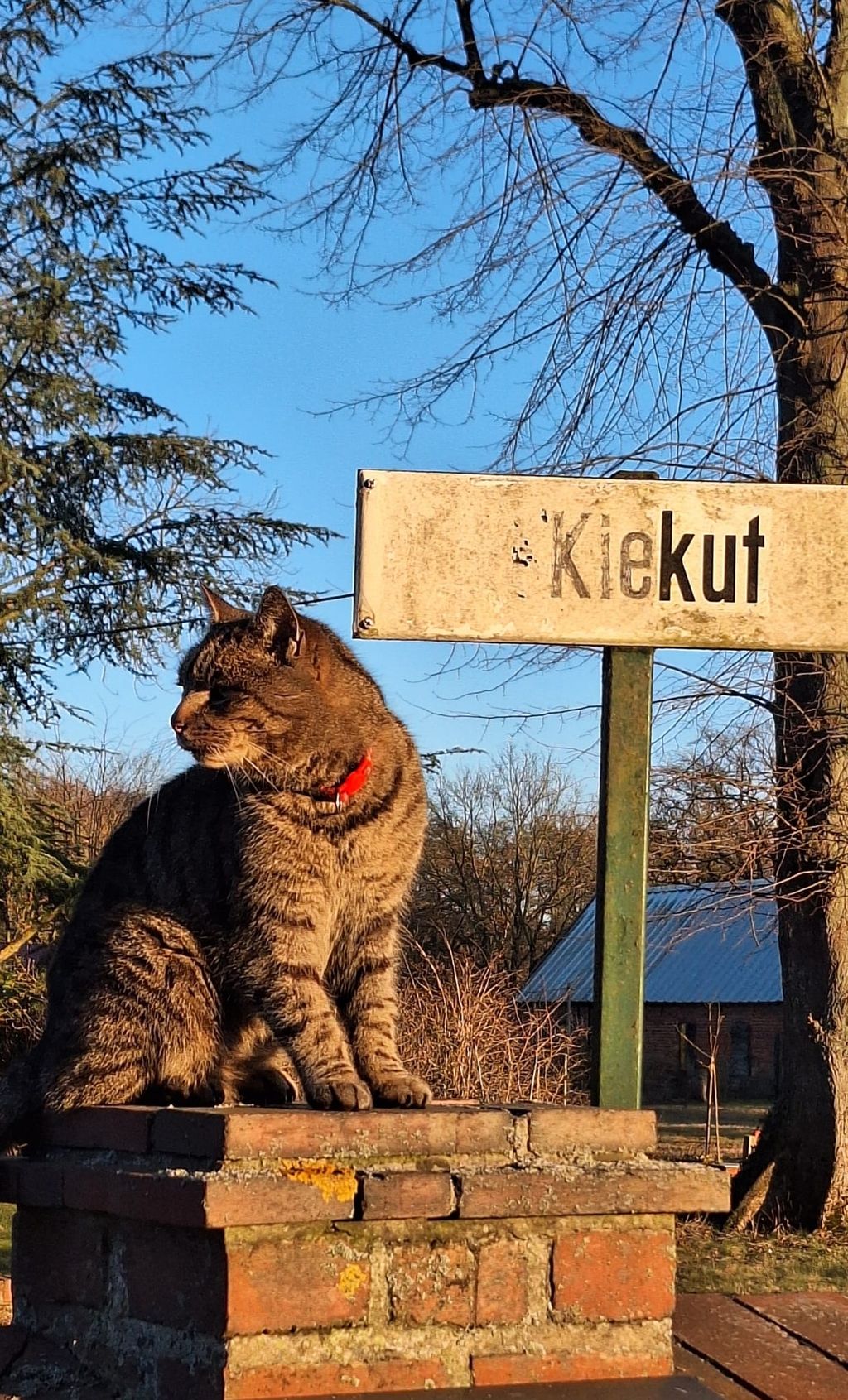 Large natural meadow next to the house: Peace and quiet, just 200 meters from the river