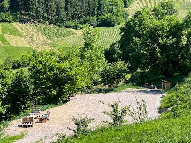 Emplacement panoramique avec vue sur la vallée du Rhin/les Vosges