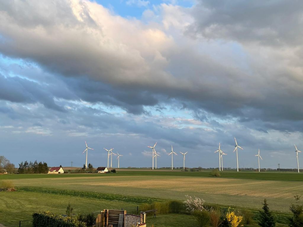 Große Wiese zum freien Stehen nahe Berlin