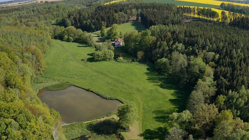 Consejo para acampar: pequeño valle junto al arroyo
