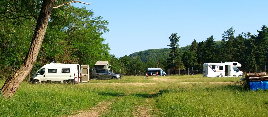 Emplacement dans le parc à gibier sur le sentier de randonnée Rheinsteig