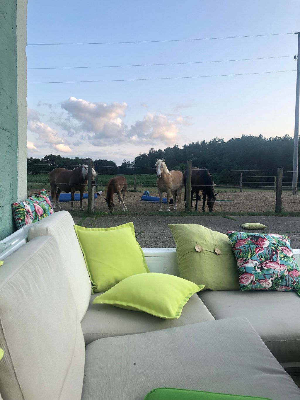 Tempo libero nel Prignitz - vacanze con i cavalli