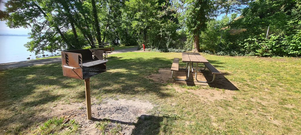 Ein ruhiger Platz zwischen  See und Juragebierge