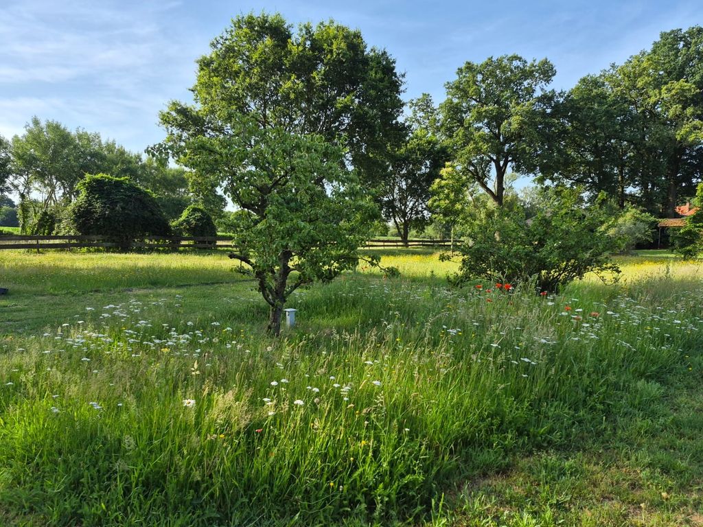 Piazzola idilliaca vicino al fiume Vecht
