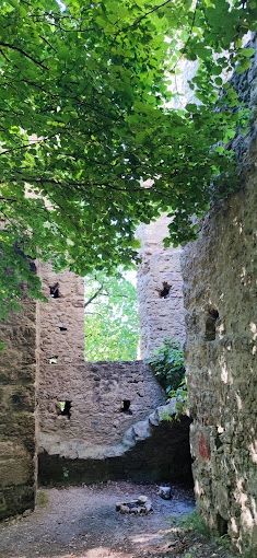 Idylle pur auf dem Hofgut - Wiesenstellplatz 