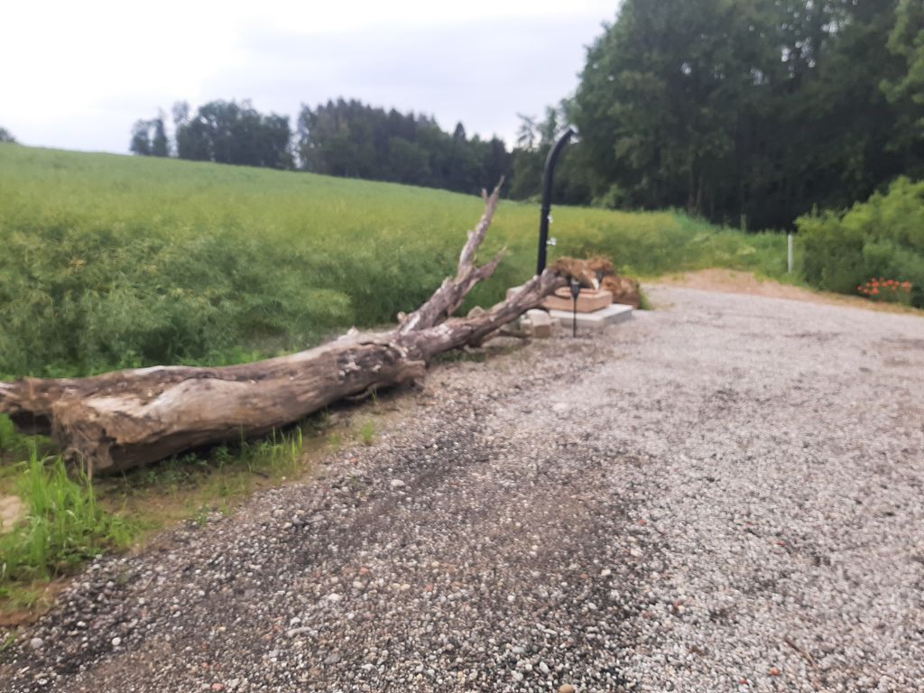 Oase am Naturweiher in absoluter Alleinlage