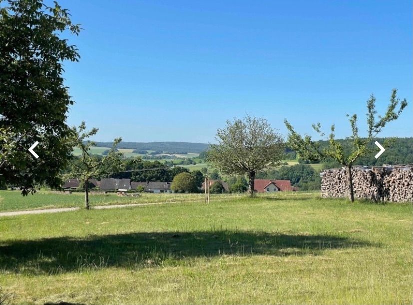 Un bel posto nel prato del nostro frutteto