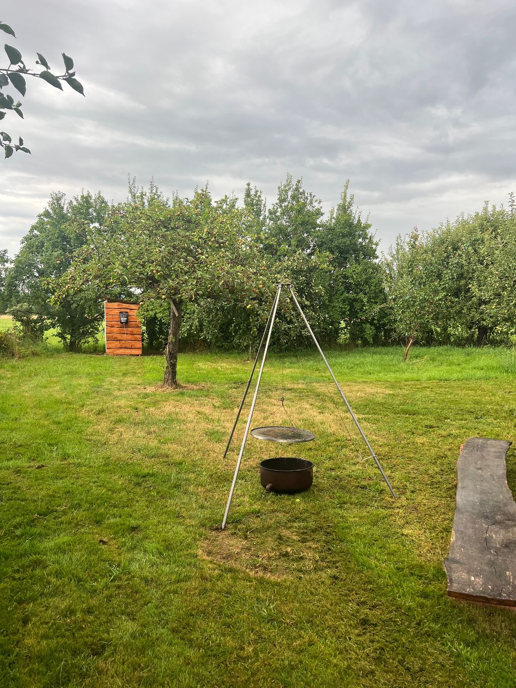 Acampada bajo los árboles frutales en Weserbergland
