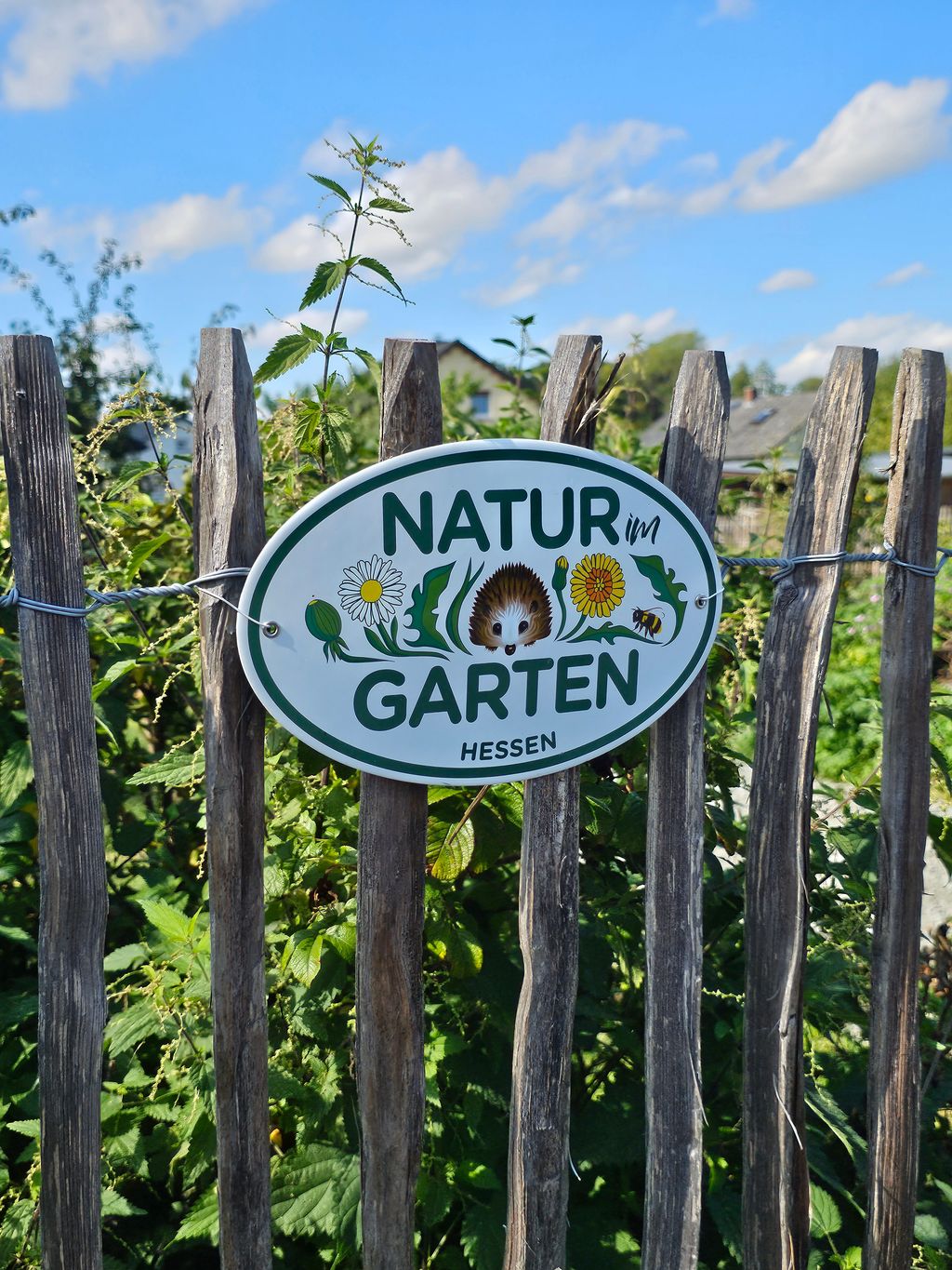 Posizione appartata in un giardino naturale - Westerwald