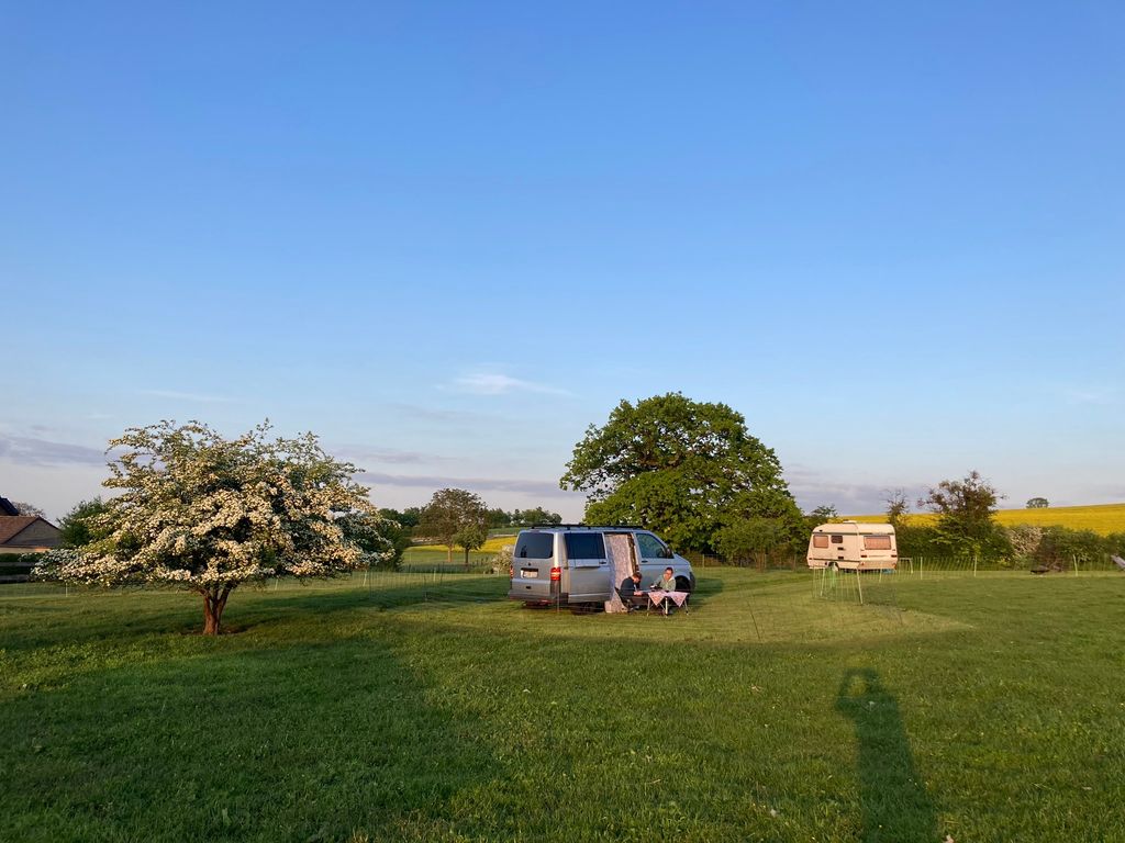 Natur pur - zusammen mit den Heidschnucken Campen