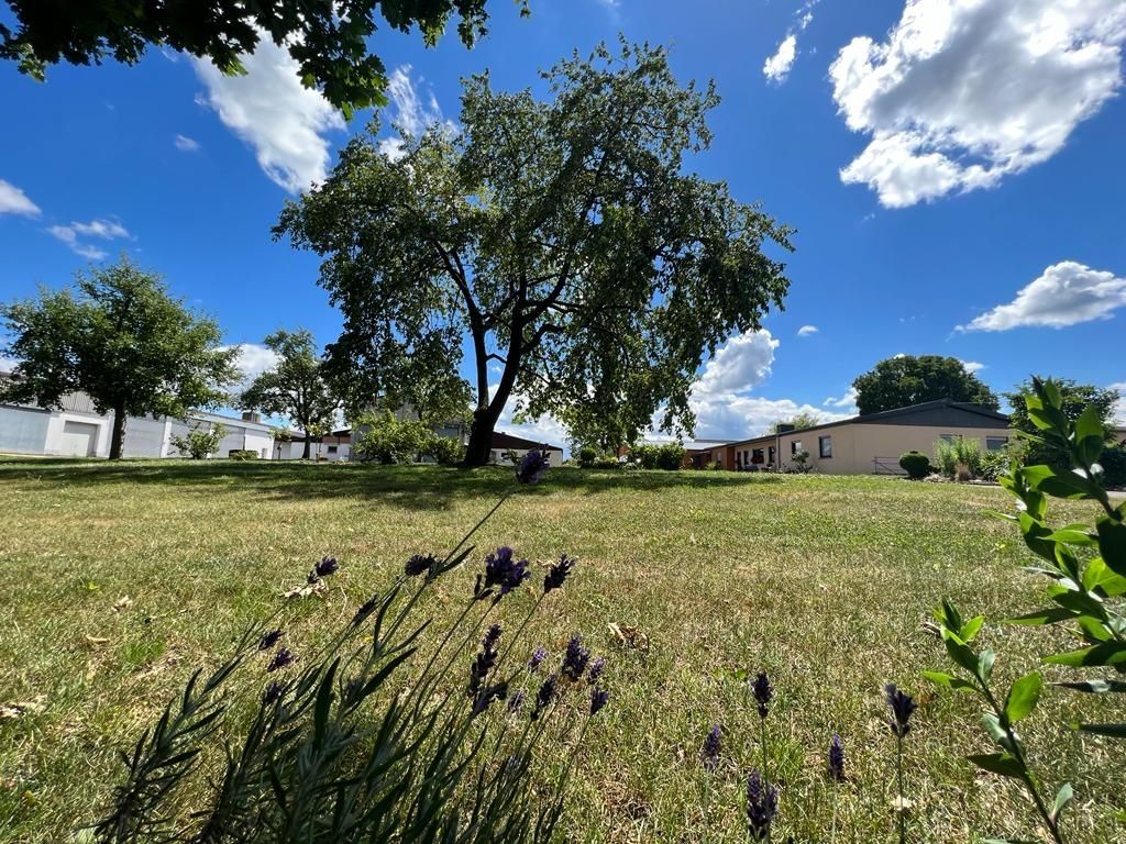 Camp "Eichelhof" in the South Eifel