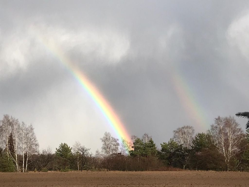 Genuss Campen Lausitz  zwischen Seen und Heide